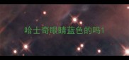 哈士奇眼睛蓝色的吗