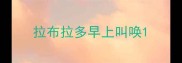 拉布拉多早上叫唤