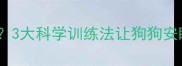 泰迪犬夜间叫闹怎么办3大科学训练法让狗狗安睡整夜附解决案例