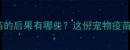 狗狗不注射疫苗的后果有哪些这份宠物疫苗指南请收好