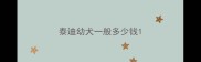 泰迪幼犬一般多少钱