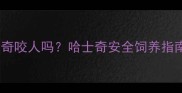 哈士奇咬人吗哈士奇安全饲养指南