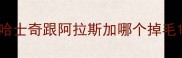 哈士奇跟阿拉斯加哪个掉毛