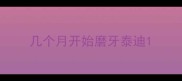 几个月开始磨牙泰迪