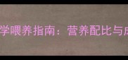 3个月边牧幼犬科学喂养指南营养配比与成长关键期管理全