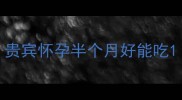 贵宾怀孕半个月好能吃