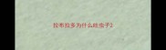 拉布拉多为什么吐虫子