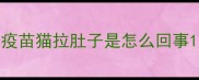 疫苗猫拉肚子是怎么回事