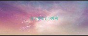 哈士奇吃了小黄鸡