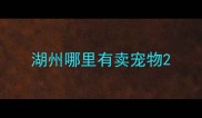 湖州哪里有卖宠物