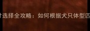 成年边牧航空箱尺寸选择全攻略如何根据犬只体型匹配安全旅行装备