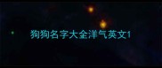 狗狗名字大全洋气英文