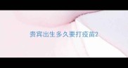 贵宾出生多久要打疫苗