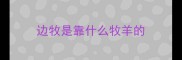 边牧是靠什么牧羊的