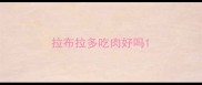 拉布拉多吃肉好吗