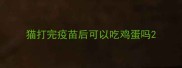 猫打完疫苗后可以吃鸡蛋吗