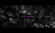 2个月的泰迪狗价钱