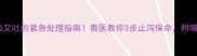 哈士奇又拉又吐的紧急处理指南兽医教你3步止泻保命附喂食禁忌清单