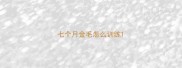七个月金毛怎么训练