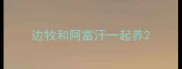 边牧和阿富汗一起养