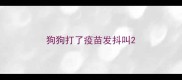 狗狗打了疫苗发抖叫