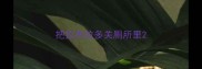 把拉布拉多关厕所里