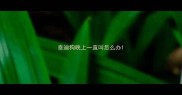 泰迪狗晚上一直叫怎么办