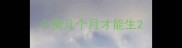 小狗几个月才能生