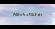 天津拉布拉多哪家好