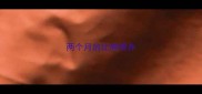 两个月的比熊喂养