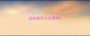 边牧能吃火龙果吗