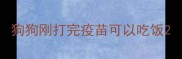 狗狗刚打完疫苗可以吃饭