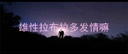 雄性拉布拉多发情嘛