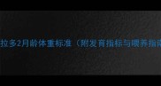 拉布拉多2月龄体重标准附发育指标与喂养指南