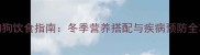 2月狗狗饮食指南冬季营养搭配与疾病预防全攻略