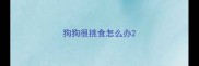 狗狗很挑食怎么办