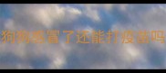 狗狗感冒了还能打疫苗吗
