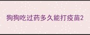 狗狗吃过药多久能打疫苗