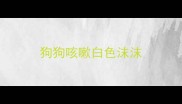 狗狗咳嗽白色沫沫