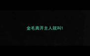 金毛离开主人就叫