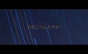 追梦拉布拉多犬舍