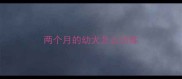 两个月的幼犬怎么训练