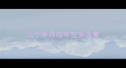 三个半月拉布拉多多重