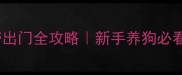 疫苗后带出门全攻略新手养狗必看注意事项