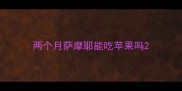 两个月萨摩耶能吃苹果吗