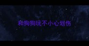 和狗狗玩不小心划伤