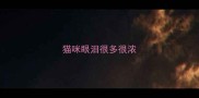 猫咪眼泪很多很浓