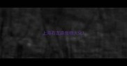 上海石龙路宠物火化