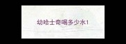 幼哈士奇喝多少水