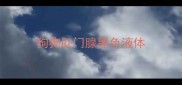 狗狗肛门腺黑色液体